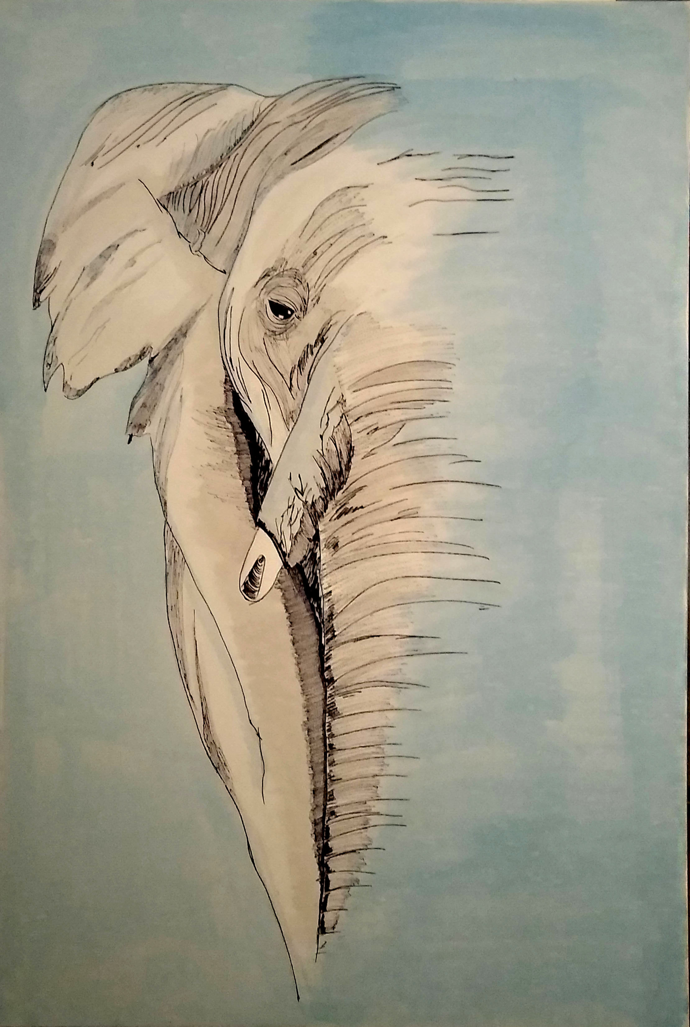 Eléphant 70x100 feutre et aquarelle sur toile