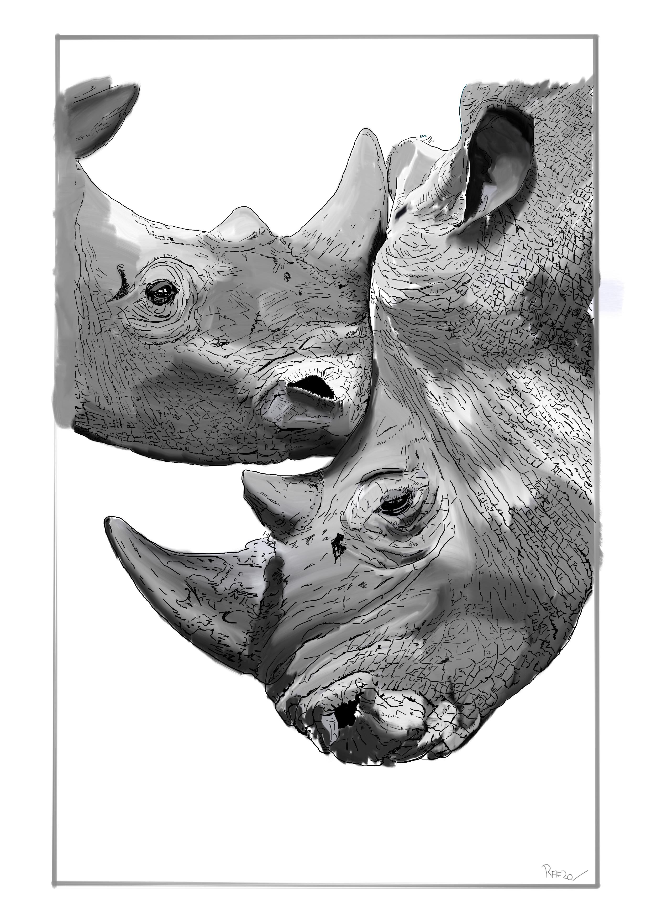 Rhinoceros