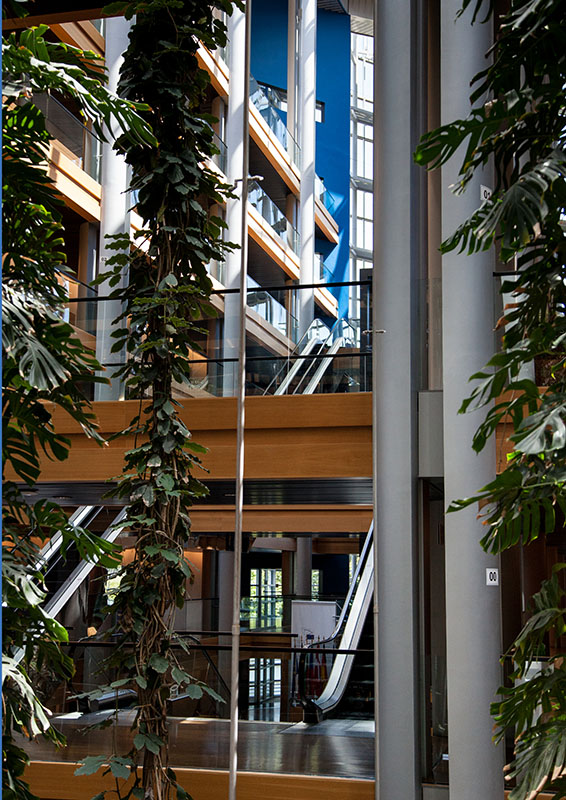 Summer season at the European Parliament in Strasbourg - LOW corridors