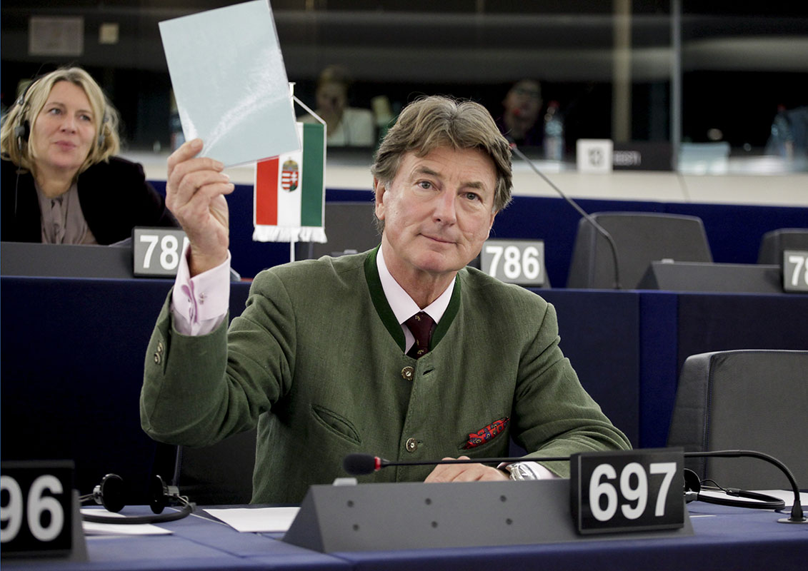 Georg MAYER and MEPs in Plenary Chamber in Strasbourg